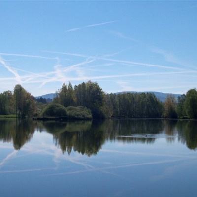 光线传媒：与猫眼娱乐签署IP衍生业务合作框架协议